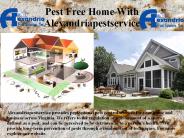 Professional Pest Management Services in Virginia