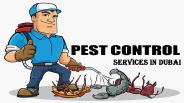 Termite and Pest Control Services in Dubai