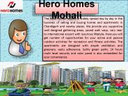 Hero Homes Apartments