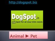 Dog Daycare Vista