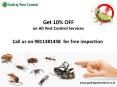 Get 10% OFF on pest control and termite treatment in Noida, Ghaziabad, Indirapuram and Dwarka-Contact Godrej Pest Control 9811381458