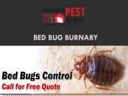 Bed Bug Burnaby