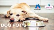 Steel Dog Pots by Marvel India