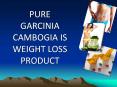 Pure Garcinia Cambogia Is Weight Loss Product PowerPoint PPT Presentation