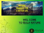 Organic Maca Powder