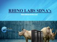 SDNA - Rhino Labs
