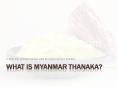 What is Myanmar Thanaka? PowerPoint PPT Presentation