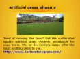 artificial grass phoenix PowerPoint PPT Presentation