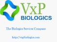 Monoclonal Antibody Production Services At VxP Biologics PowerPoint PPT Presentation