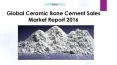 Global Ceramic Bone Cement Sales Market Report 2016 PowerPoint PPT Presentation