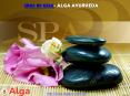 Spas in Goa- Alga Ayurveda PowerPoint PPT Presentation