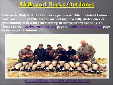 Guided Duck Hunting in Colorado