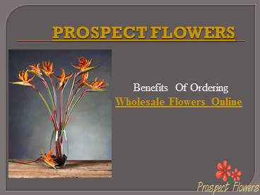 Order Wholesale Flowers Online – Prospect Flowers