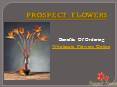 Order Wholesale Flowers Online – Prospect Flowers PowerPoint PPT Presentation