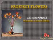 Order Wholesale Flowers Online – Prospect Flowers