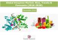 Global Enzyme Market: Size, Trends & Forecasts (2016-2020) - Daedal Research (1) PowerPoint PPT Presentation