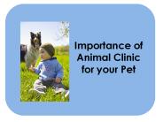 Importance of Animal Clinic for your Pet
