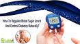 How To Regulate Blood Sugar Levels And Control Diabetes Naturally? PowerPoint PPT Presentation
