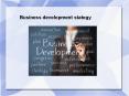 Sample PPT on Business development strategy PowerPoint PPT Presentation