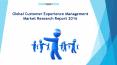 Global Customer Experience Management Market Research Report 2016 PowerPoint PPT Presentation