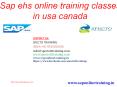 sap ehs online training classes | spectotraining PowerPoint PPT Presentation
