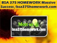 BSA 375 HOMEWORK Massive Success /bsa375homework.com
