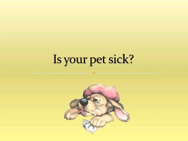 Gladysvet – Vet Clinic