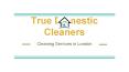 True Domestic Cleaners in London PowerPoint PPT Presentation