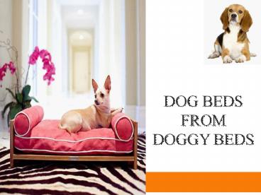 Dog Beds from Doggy beds