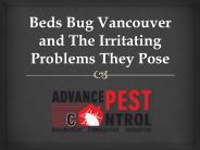 Beds Bug Vancouver and The Irritating Problems They Pose
