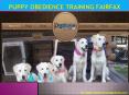 Puppy Obedience Training Fairfax PowerPoint PPT Presentation