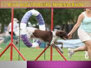 Best Dog Trainers in Henderson