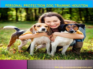 Personal Protection Dog Training Houston