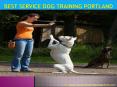 Best service dog training Portland PowerPoint PPT Presentation