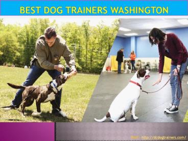 Best dog trainers Washington