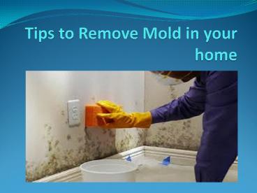 Tips to Remove Mold in your home