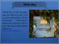 White Bay (1) PowerPoint PPT Presentation