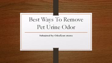 Best Ways To Remove Pet Urine Odor