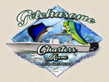 Kite Fishing Beach Miami