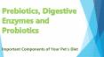 Prebiotics, Digestive Enzymes and Probiotics: Important Components of Your Pet’s Diet PowerPoint PPT Presentation