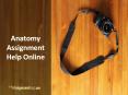 Anatomy Assignment Help Online PowerPoint PPT Presentation