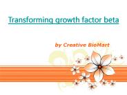 Transforming growth factor beta