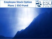 Employee Stock Option Plans | ESO Fund
