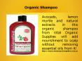 Organic Shampoo PowerPoint PPT Presentation