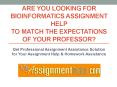 Online Bioinformatics Assignment Help By MyAssignmenthelp.com Experts PowerPoint PPT Presentation