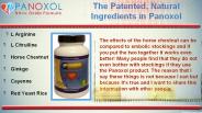 The Science of Nitric Oxide-Panoxol
