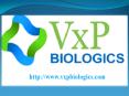 Demonstrating Biological Research in Cell Line Development Services At VxP Biologics PowerPoint PPT Presentation