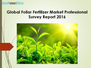 Global Foliar Fertilizer Market Professional Survey Report 2016