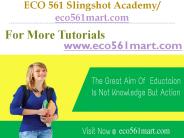 ECO 561 Slingshot Academy   / eco561mart.com