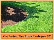 Get Perfect Pine Straw Lexington SC
